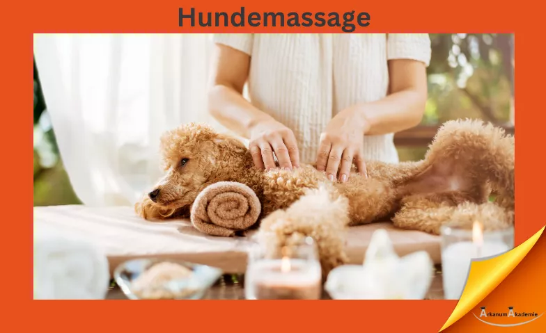 Massage am Hund – Hundemassage ArkanumAkademie, Oberrindal 39, 9604 Oberrindal Billets