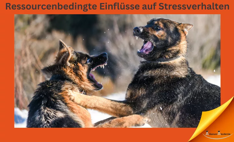 Ressourcenbedingte Einflüsse auf Stressverhalten bei Tieren ArkanumAkademie, Oberrindal 39, 9604 Oberrindal Tickets