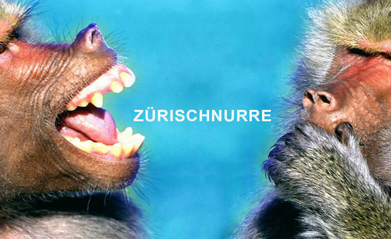 ZÜRISCHNURRE - Johnny Tienne A. - Album-Taufi Weisser Wind, Oberdorfstrasse 20, 8001 Zürich Tickets