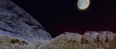 Event-Image for 'VIDEOEX FESTIVAL 2026: Internationaler Wettbewerb 02'