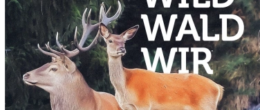 Event-Image for 'Sonderausstellung &laquo;Wild. Wald. Wir.&raquo;'