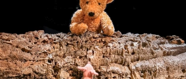 Event-Image for 'PU DER BÄR'