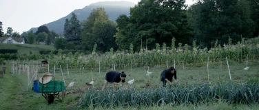 Event-Image for 'DER GESCHMACK DER DINGE von Alain Wirth'