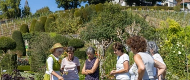 Event-Image for 'F&uuml;hrung durch den Barockgarten'