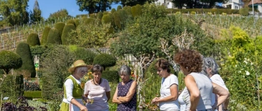 Event-Image for 'F&uuml;hrung durch den Barockgarten'