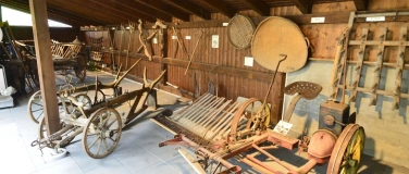 Event-Image for 'Internationaler Museumstag und Jubil&auml;um'