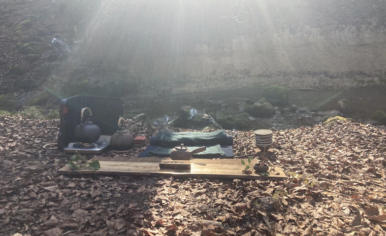 tea ceremony in nature