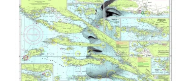 Event-Image for '"Floating Roots"- eine Flaschenbotschaft'