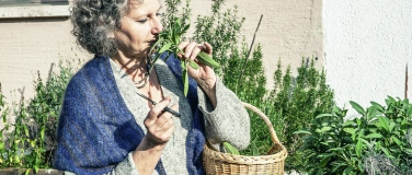 Event-Image for 'Workshop «Kraft des Waldes»'