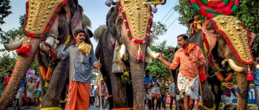 Event-Image for 'MAGISCHES INDIEN'