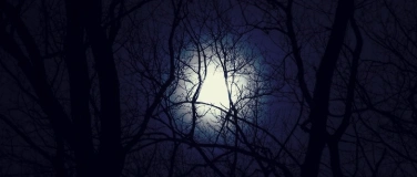 Event-Image for 'NACHTGESANG'