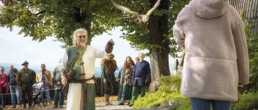 Event-Image for 'Von Adler bis Eule: Greifvögel auf dem Schloss'