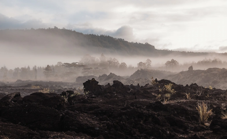 Elysium New Moon Cacao&amp;Breathwork Journey  CONNECTION &amp; EASE Tickets