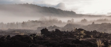 Event-Image for 'Elysium Solstice Cacao & Breathwork Journey RENEWAL & LIGHT'