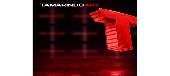 Veranstalter:in von OPEN AIR DAYDANCE  KRAFTWERK Z&Uuml;RICH