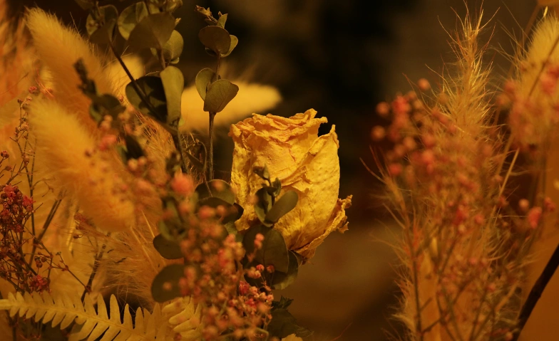 Event-Image for 'Weihnachtsausstellung'