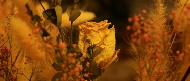 Event-Image for 'Weihnachtsausstellung'