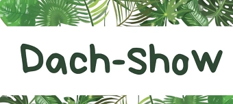 Event organiser of Dach_Show-Poetry Slam, Musik, Kunst ,Performance & Handmade