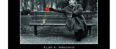 Event-Image for 'Medjuigre  0-24  -  Zijah Sokolović'