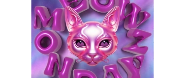 Event-Image for 'Meow Mondayz + Diversitydays Party'