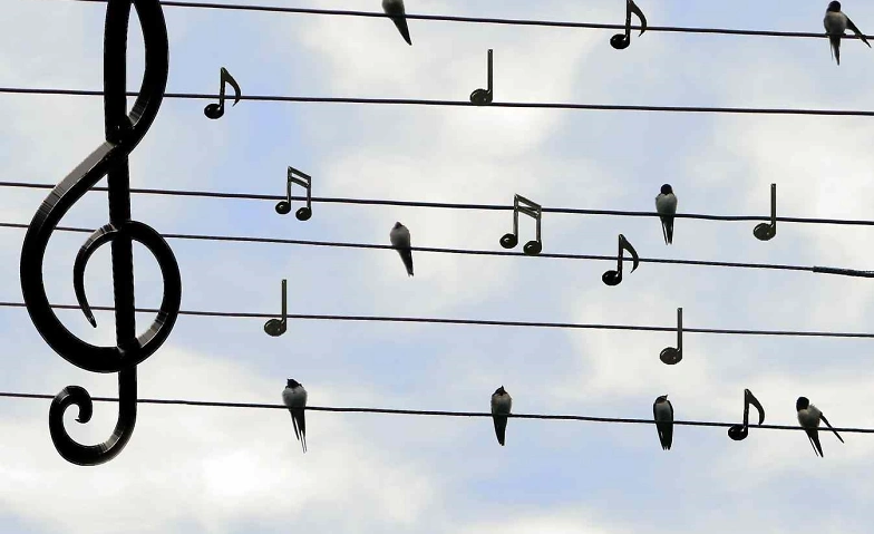 Event-Image for 'Singkreis'