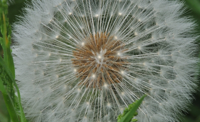 Event-Image for 'Atem & Bewegung'