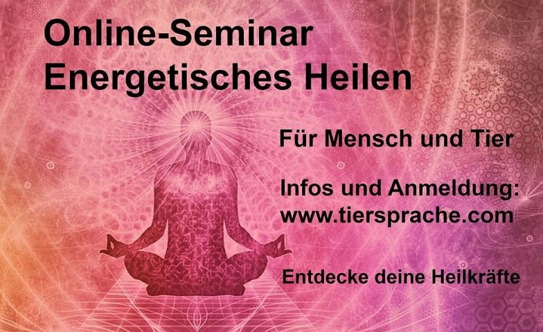 Fernlehrgang: Energetisches Heilen erlernen