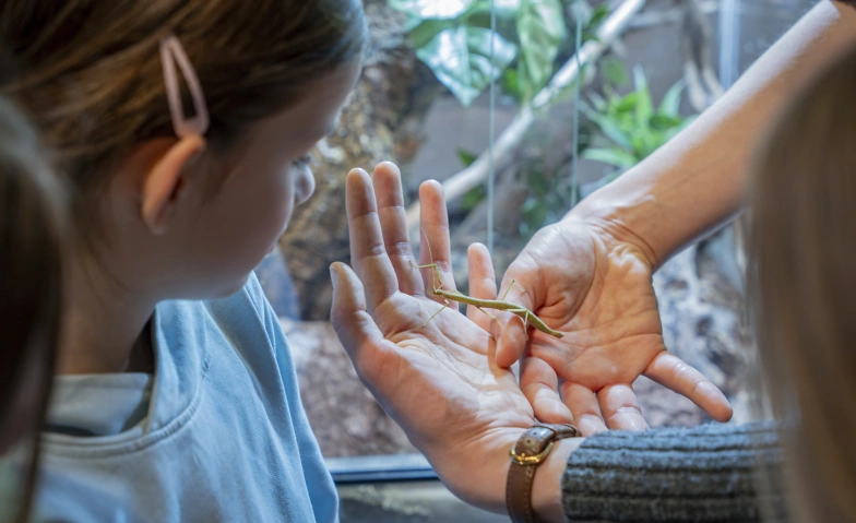 Event-Image for 'Krabbler hautnah: &laquo;Der Walter Zoo zu Gast&raquo;'