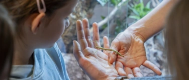 Event-Image for 'Krabbler hautnah: «Der Walter Zoo zu Gast»'