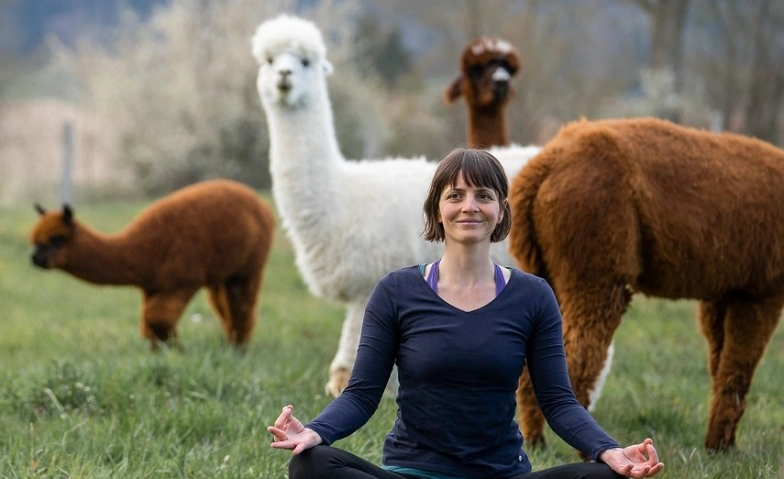 Event-Image for 'Yoga inmitten Alpakas - Horgen'