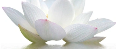 Event-Image for 'Meditation & Weisheit - Meditation & Wisdom'