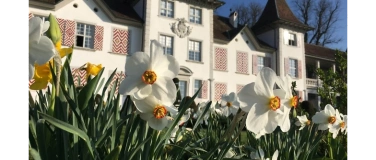 Event-Image for 'Fr&uuml;hlingskonzert der Schola Cantorum Basiliensis'