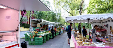 Event-Image for 'Zürcher Wochenmarkt'