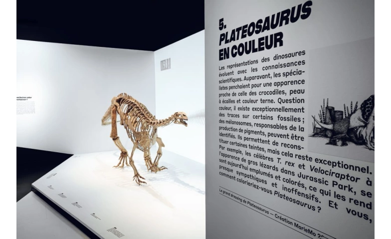 Platéosaure, ceci est un dinosaure Muséum d'histoire naturelle, Rue des Terreaux 14, 2000 Neuchâtel Billets