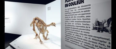 Event-Image for 'Platéosaure, ceci est un dinosaure'