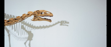 Event-Image for 'Platéosaure, ceci est un dinosaure'