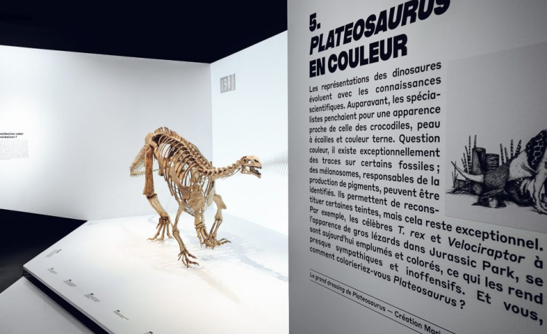 Event-Image for 'Platéosaure, ceci est un dinosaure'