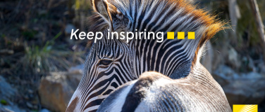 Event-Image for 'Nikon im Zoo Zürich'