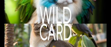 Event-Image for 'Wild Card'