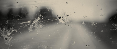 Event-Image for 'Insektensterben - Alles wird gut'