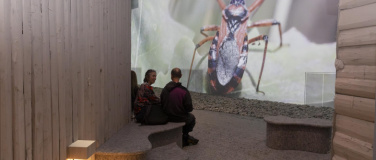 Event-Image for 'Zukunftsfähig Handeln'