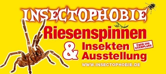 Organisateur de Insectophobie Riesen Spinnen & Insekten Ausstellung