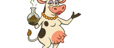 Event-Image for 'Gill&auml;, Mischt und Scheenheitswahn'