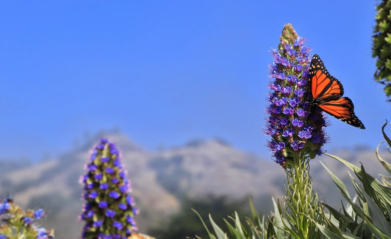 Genetische Vielfalt: Eine Grundlage der Biodiversität ZHAW GEBÄUDE TN, Technikumstr. 71, 8400 Winterthur Tickets