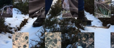 Event-Image for 'Views on Scotland II: Sodden Earth / Videoex 2025'