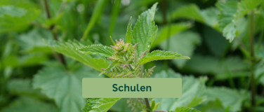 Event-Image for 'Wunderpflanze Brennnessel - Papiersch&ouml;pfen & Naturkosmetik'