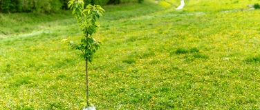 Event-Image for 'Savez-vous planter des arbres ?'