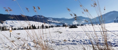 Event-Image for 'Geführte Winterwanderung Solothurner Wanderwege'