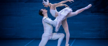 Event-Image for 'Schwanensee - Festival Ballet & Festival Orchestra'
