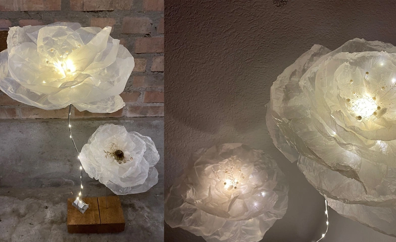 Event-Image for 'NATURENA: Leuchtende Mohnblumen'